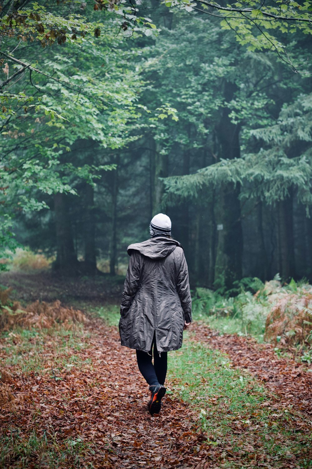 a person walking on a path in a forest