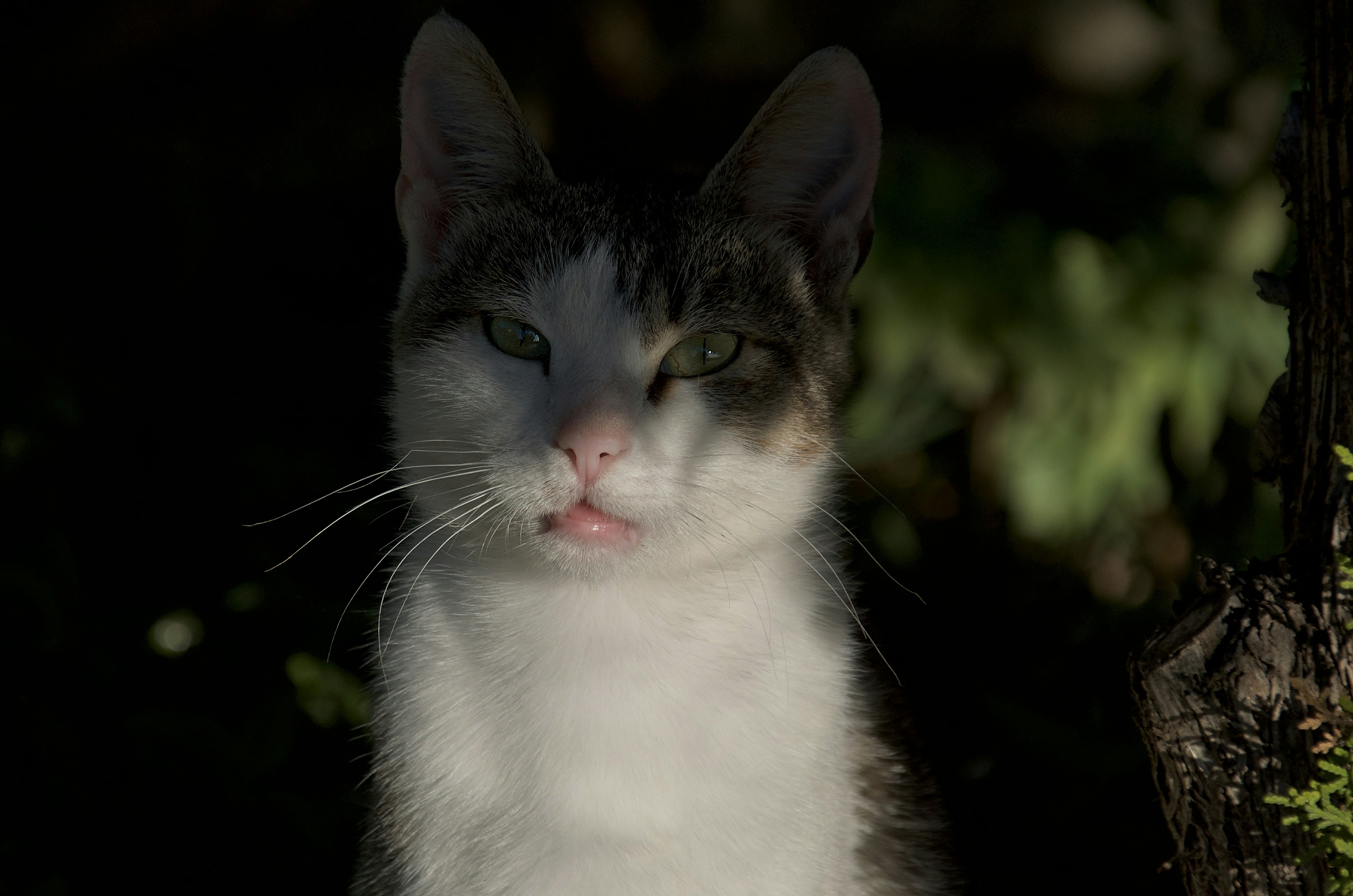 Photo by mariobeducci