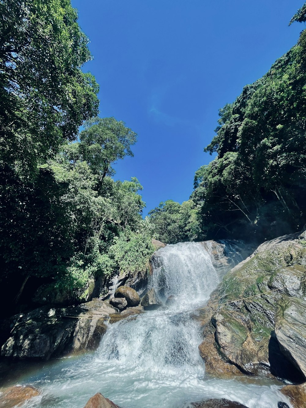 a waterfall surrounded by trees