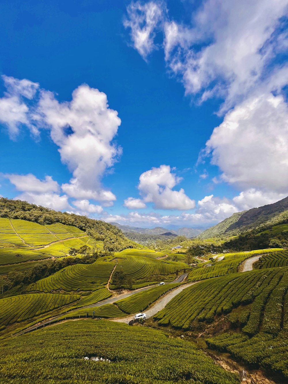 a winding road through a valley