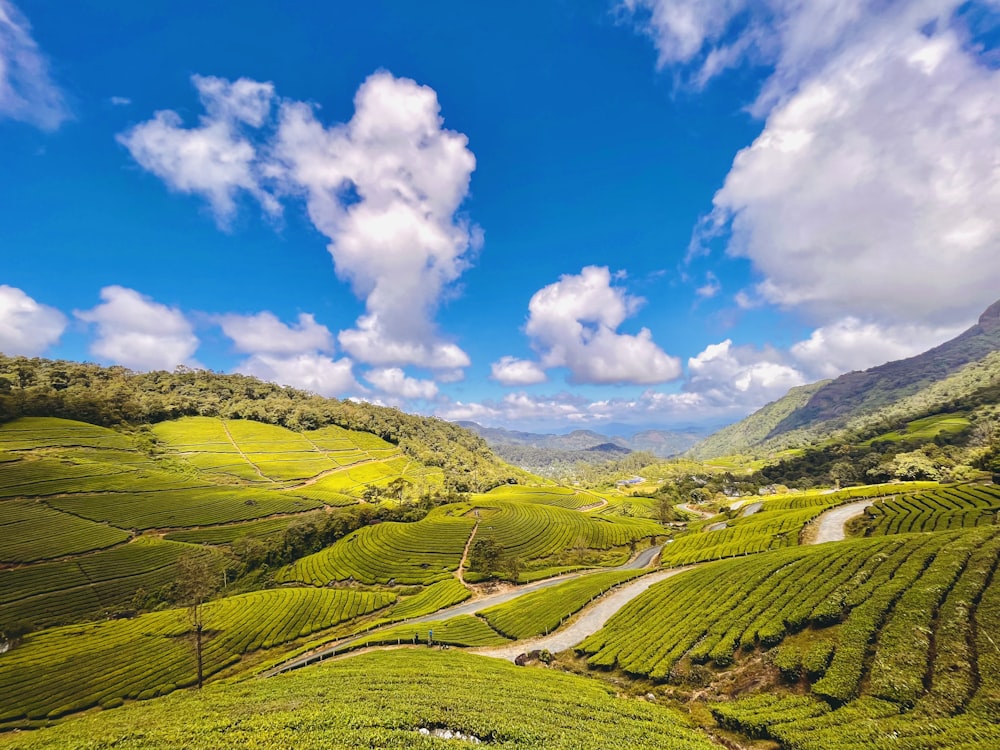 a green valley with a road