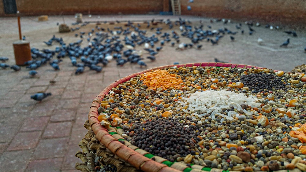 a large group of birds on a brick surface