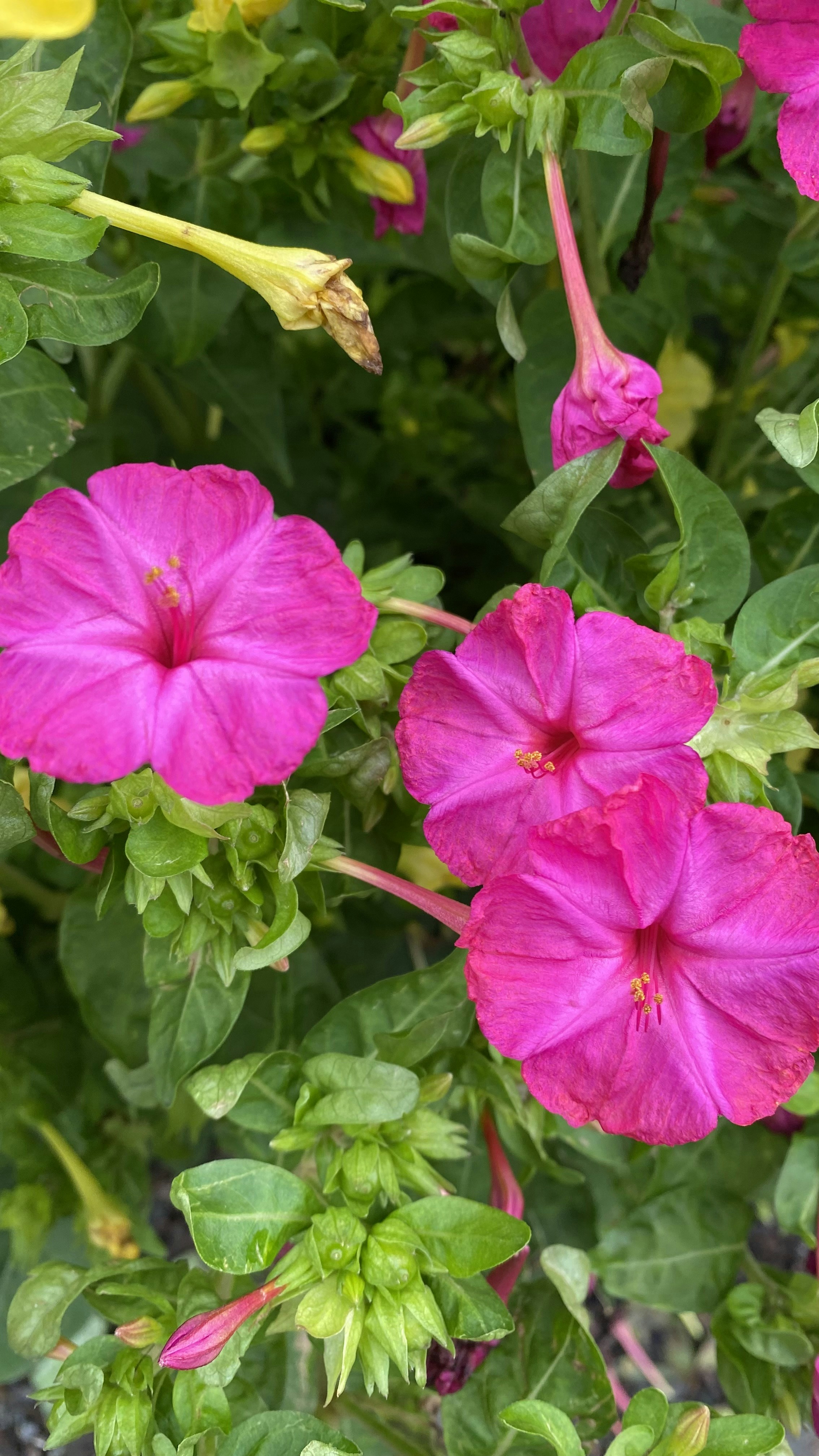 Photo by thallasophile