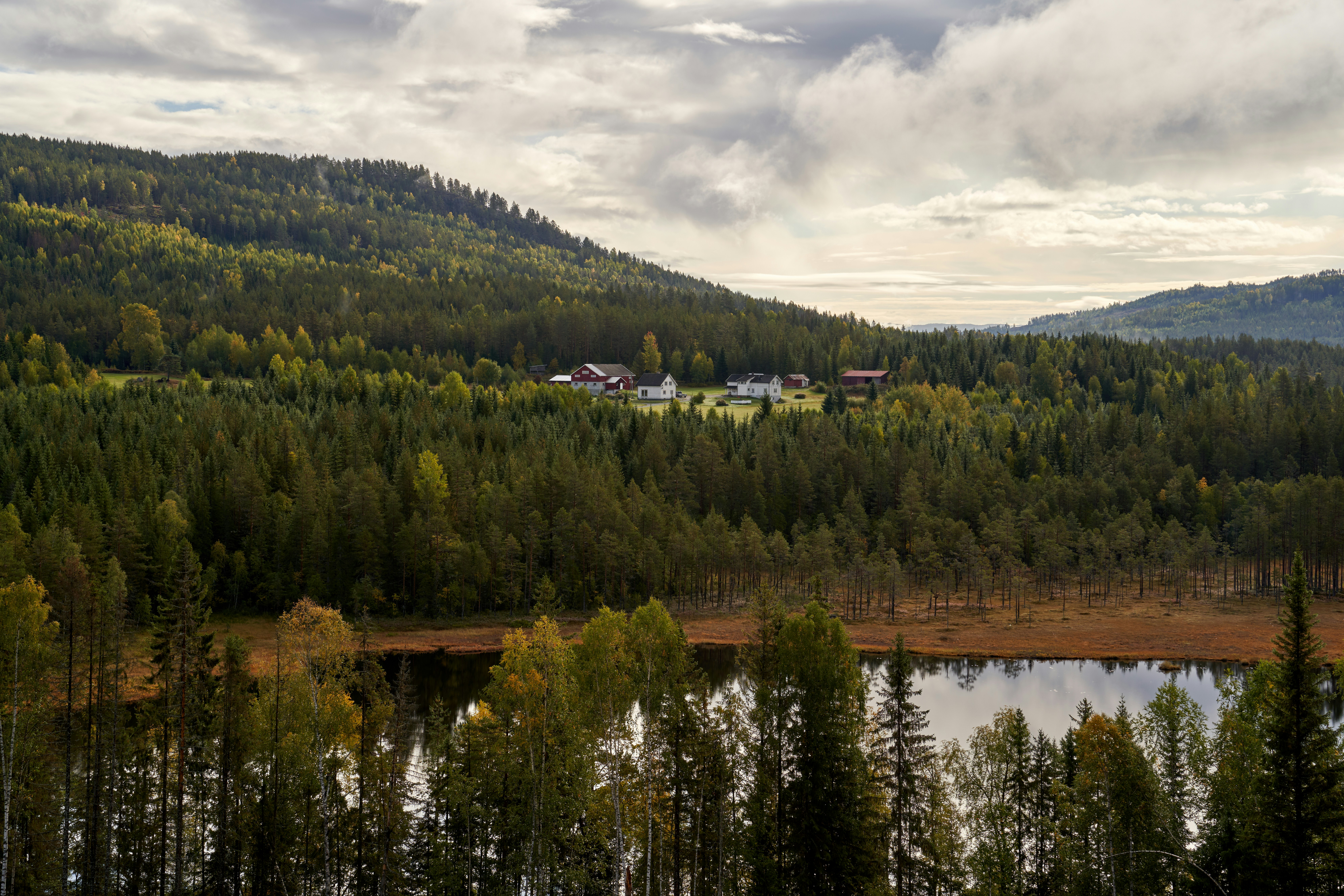 Photo by davotibarna