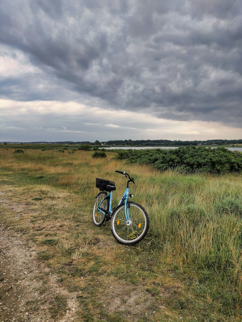 a bicycle parked in a field