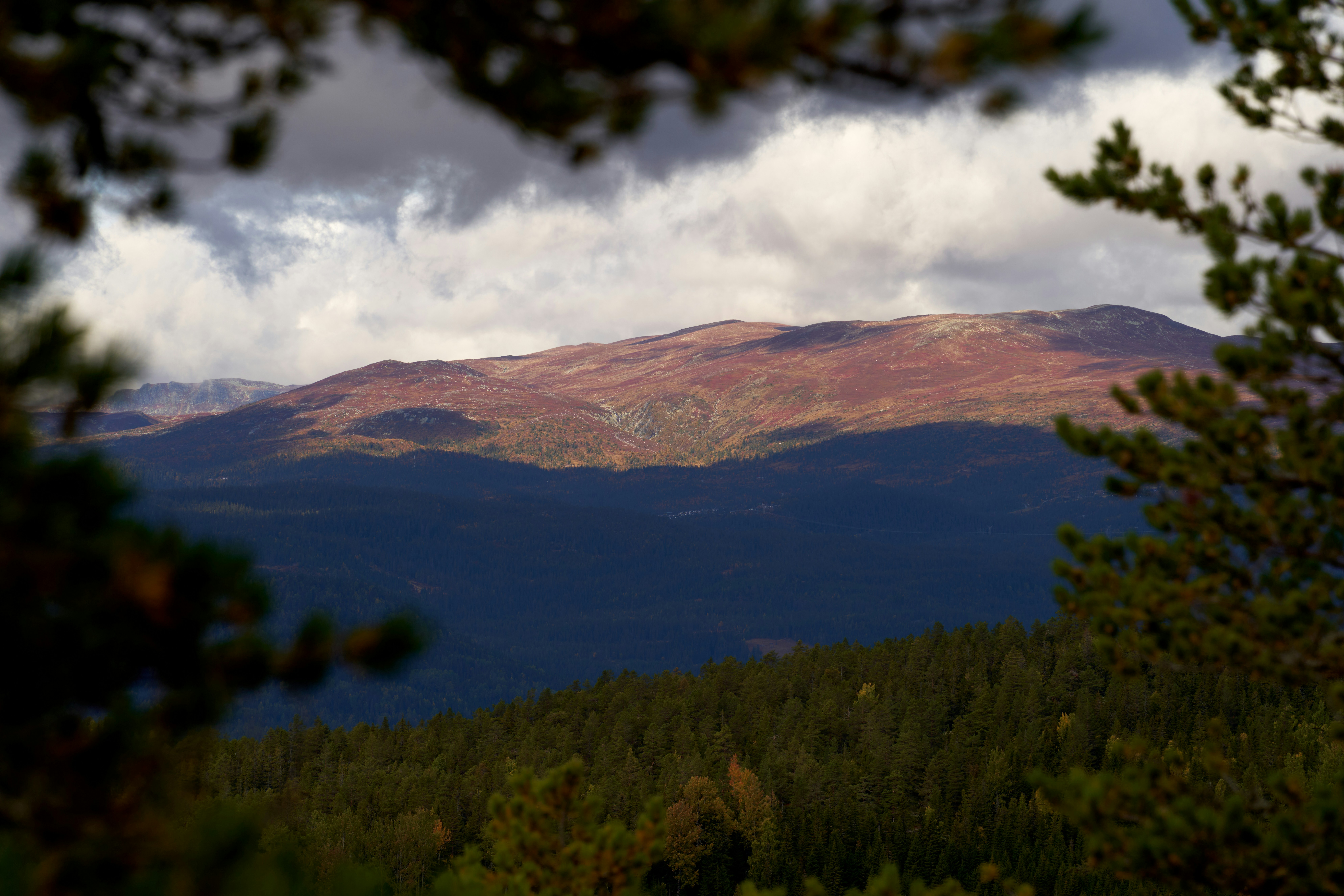 Photo by davotibarna