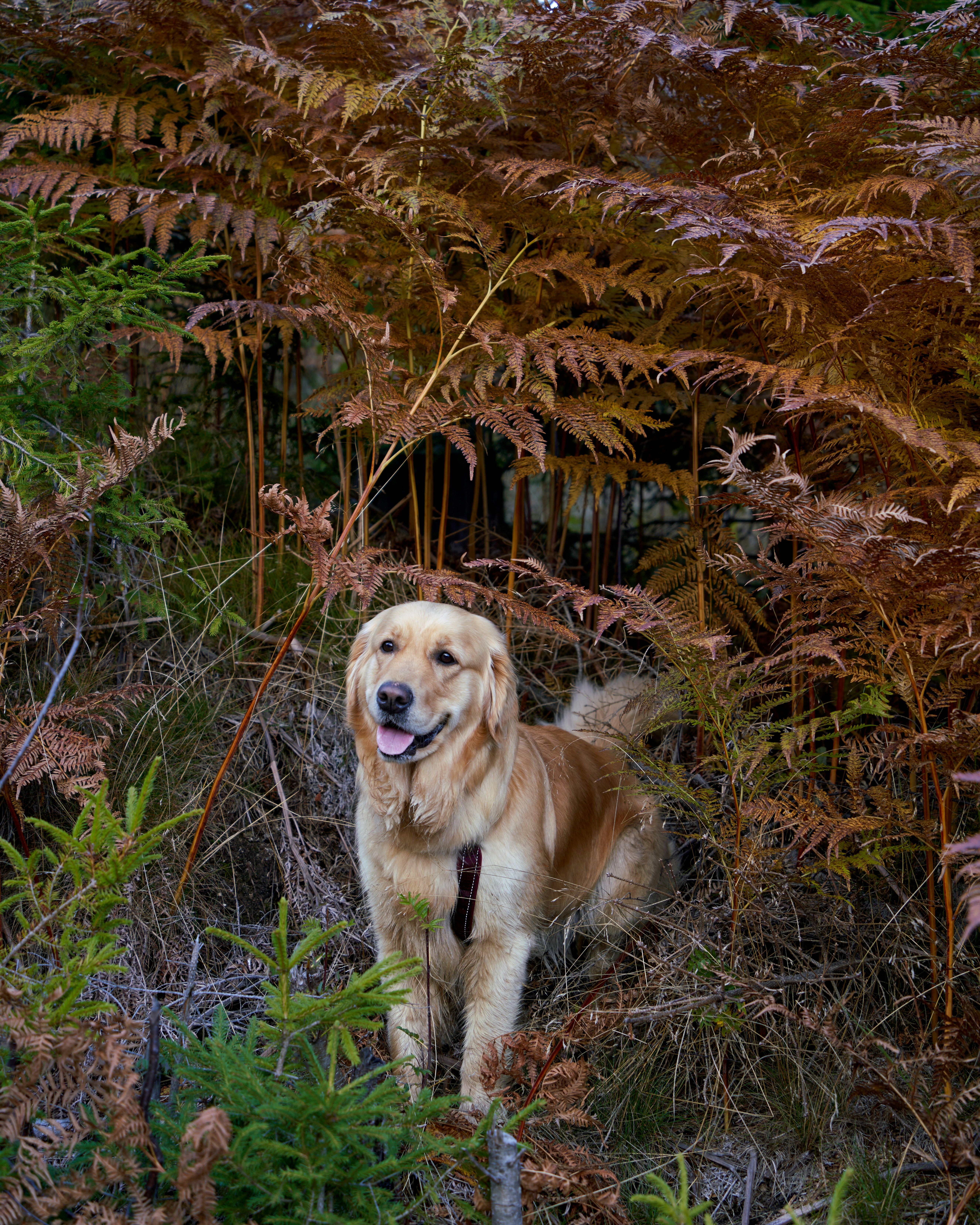 Photo by davotibarna