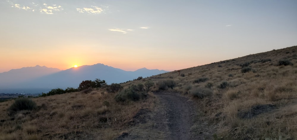 a dirt road in the desert