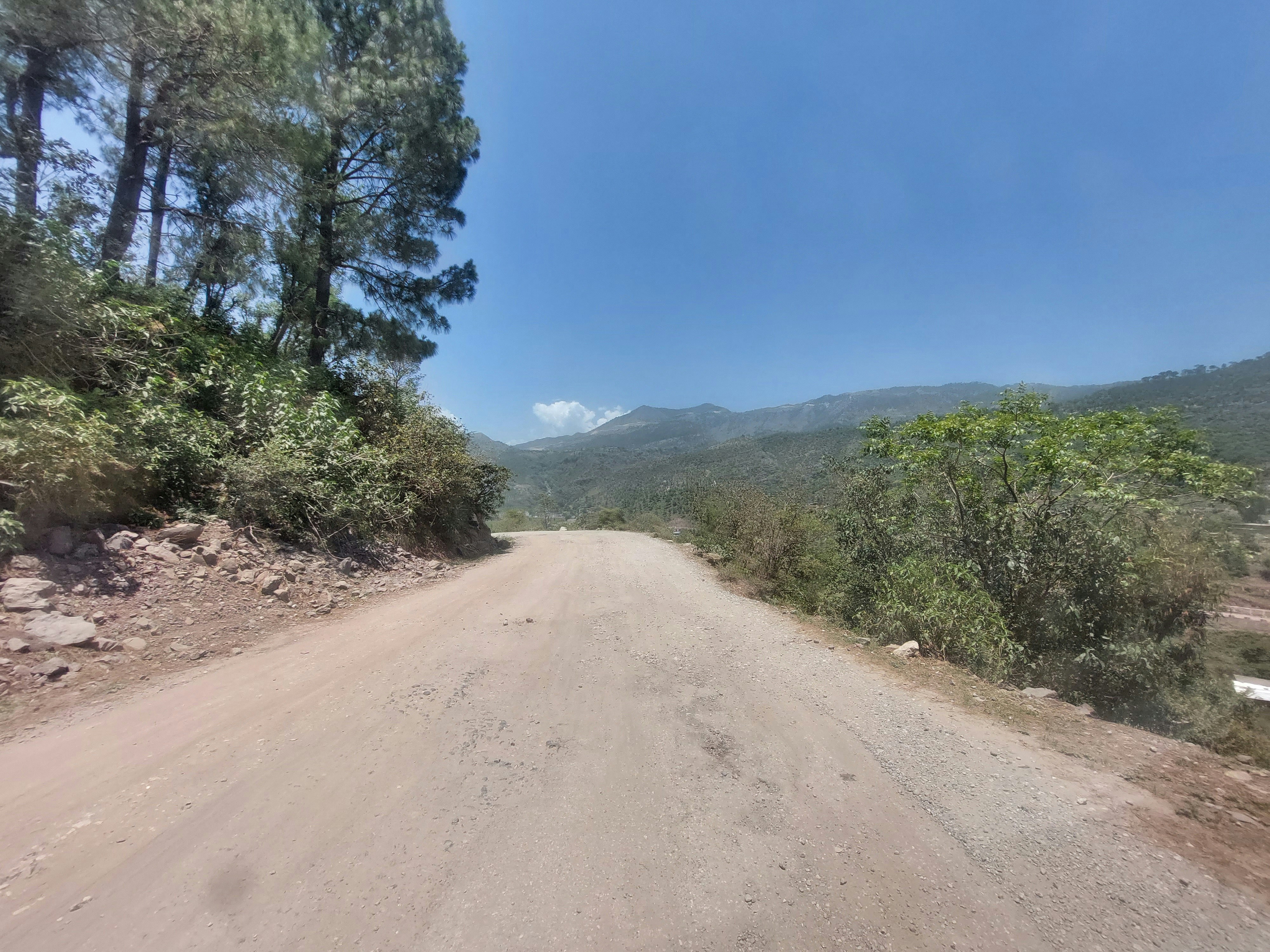 a dirt road with trees on either side of it