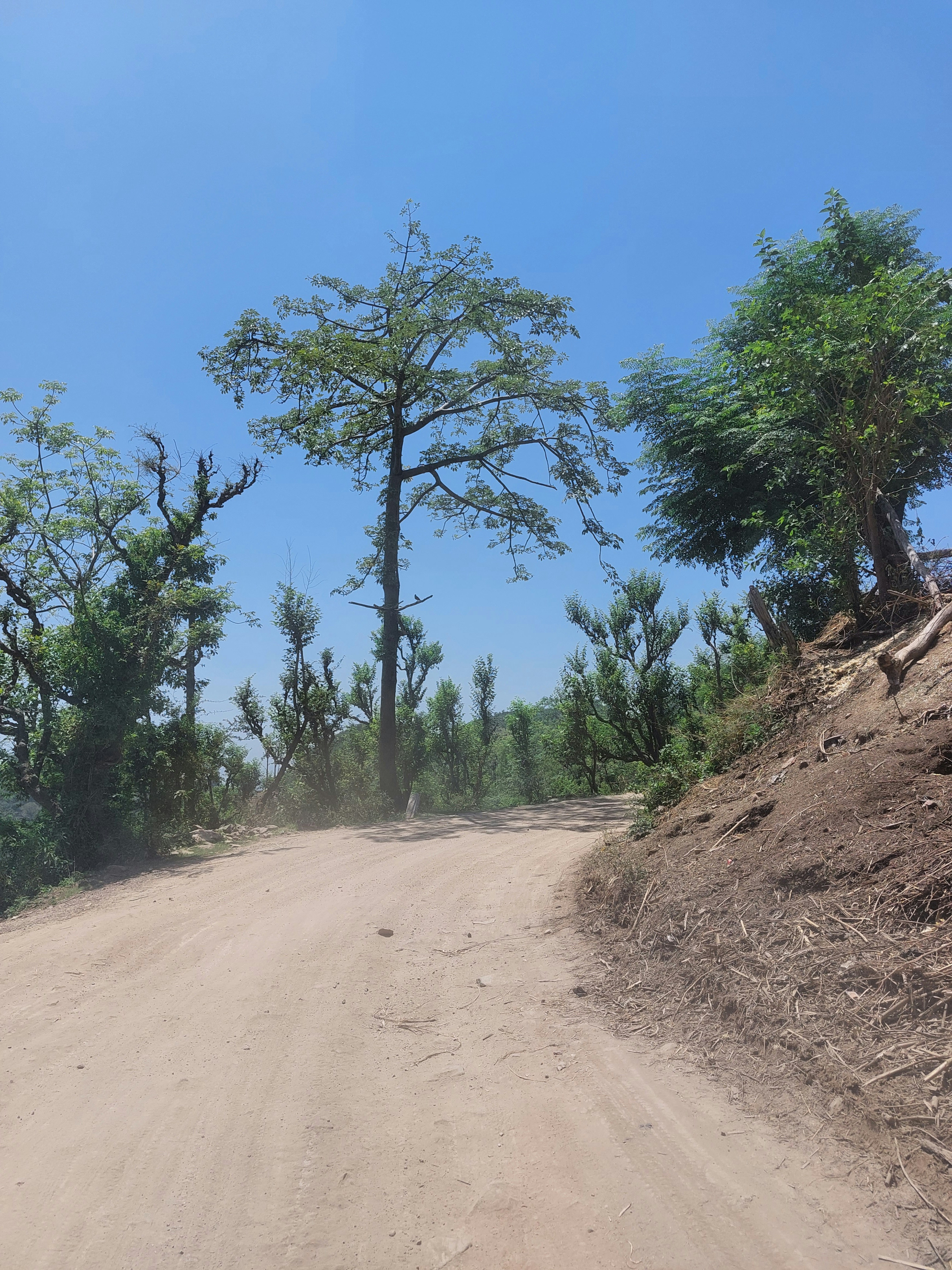 Photo by arnavsinha_10