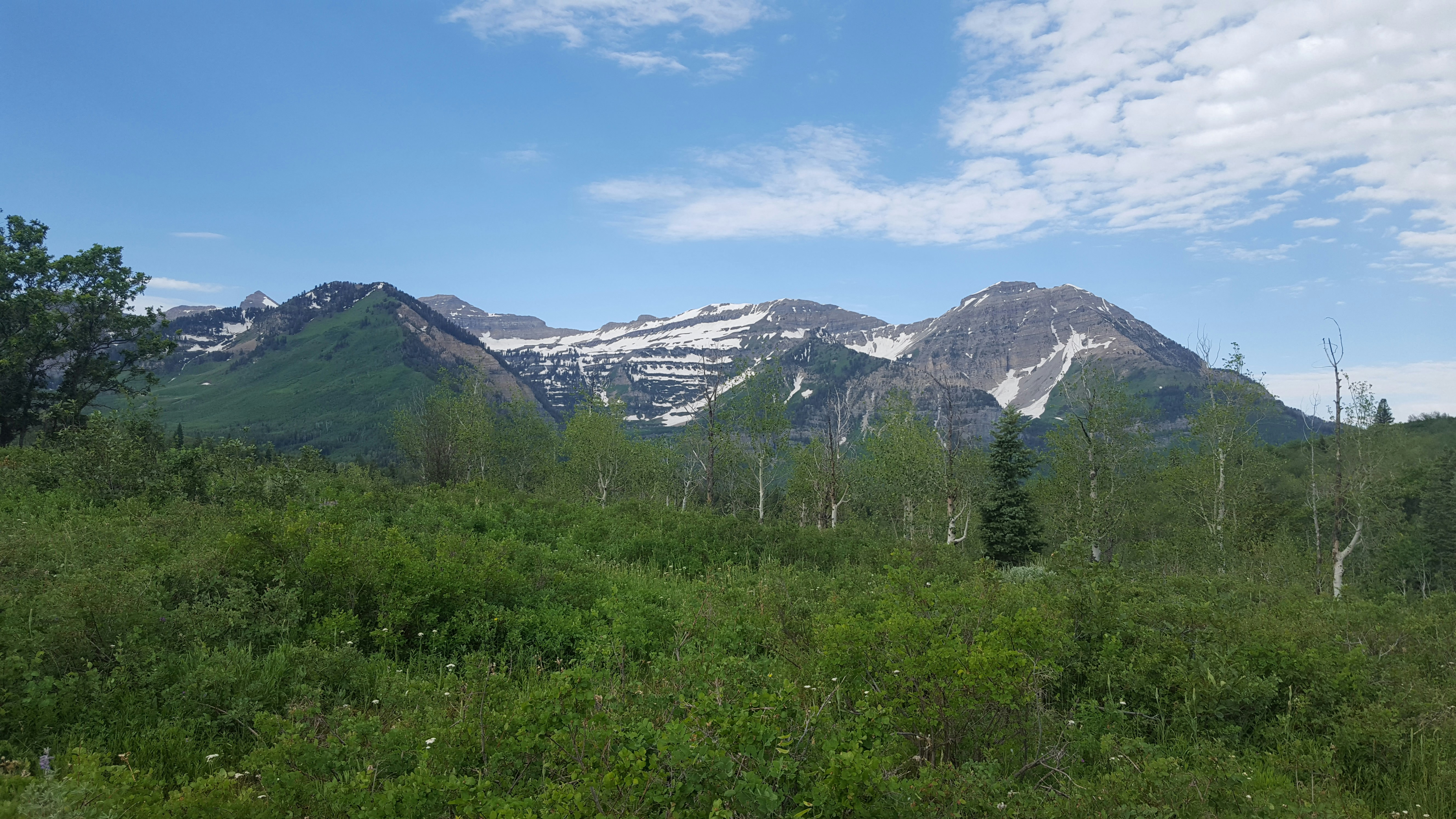 Photo by kevinzollinger