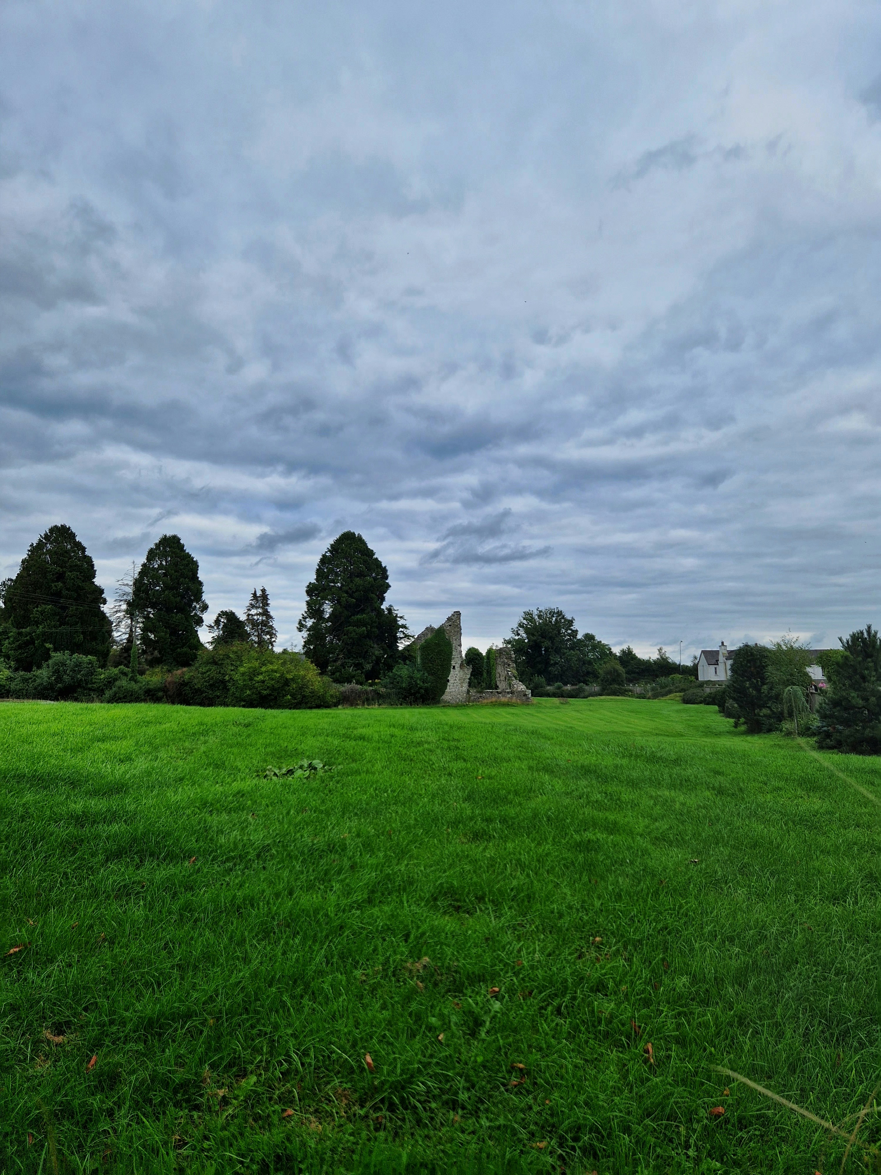 a grassy field with trees and stone structures in the distance