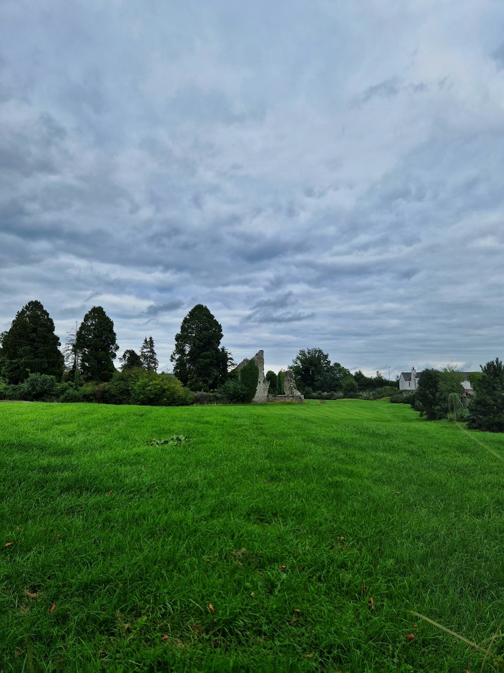 a grassy field with trees and stone structures in the distance