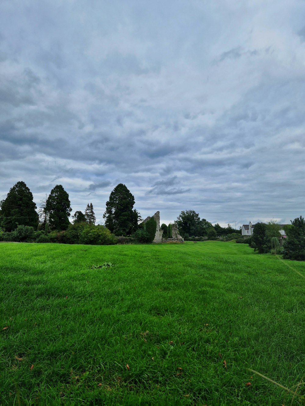 ein grasbewachsenes Feld mit Bäumen und Steinstrukturen in der Ferne