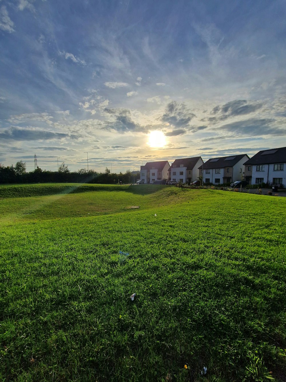 a grassy field with houses in the background