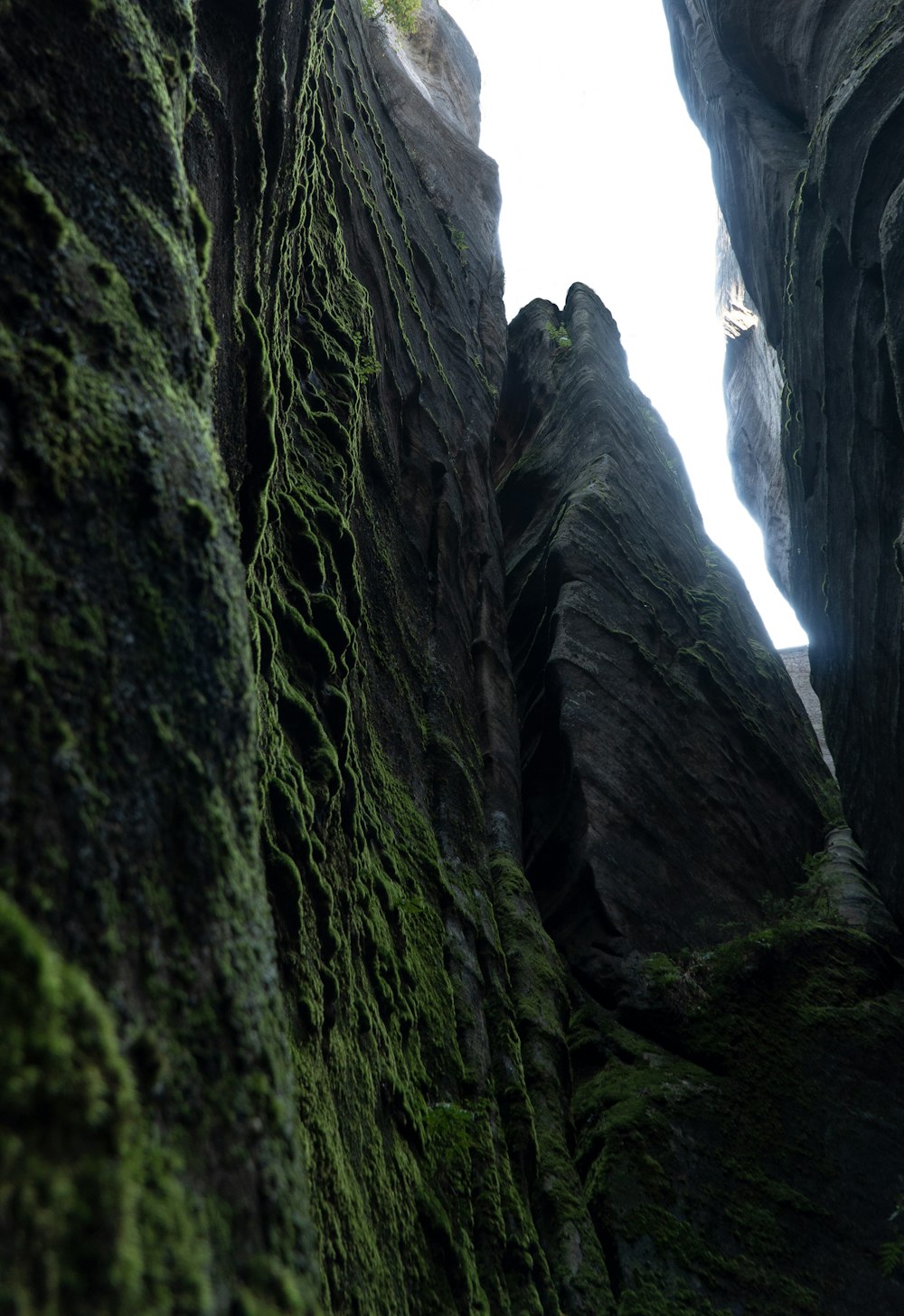 una grande scogliera rocciosa