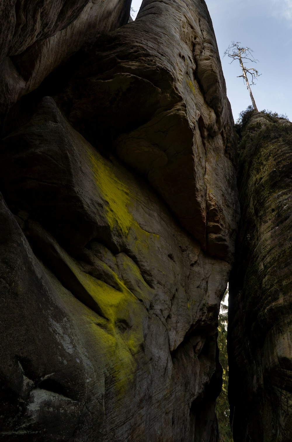 a close-up of a rock