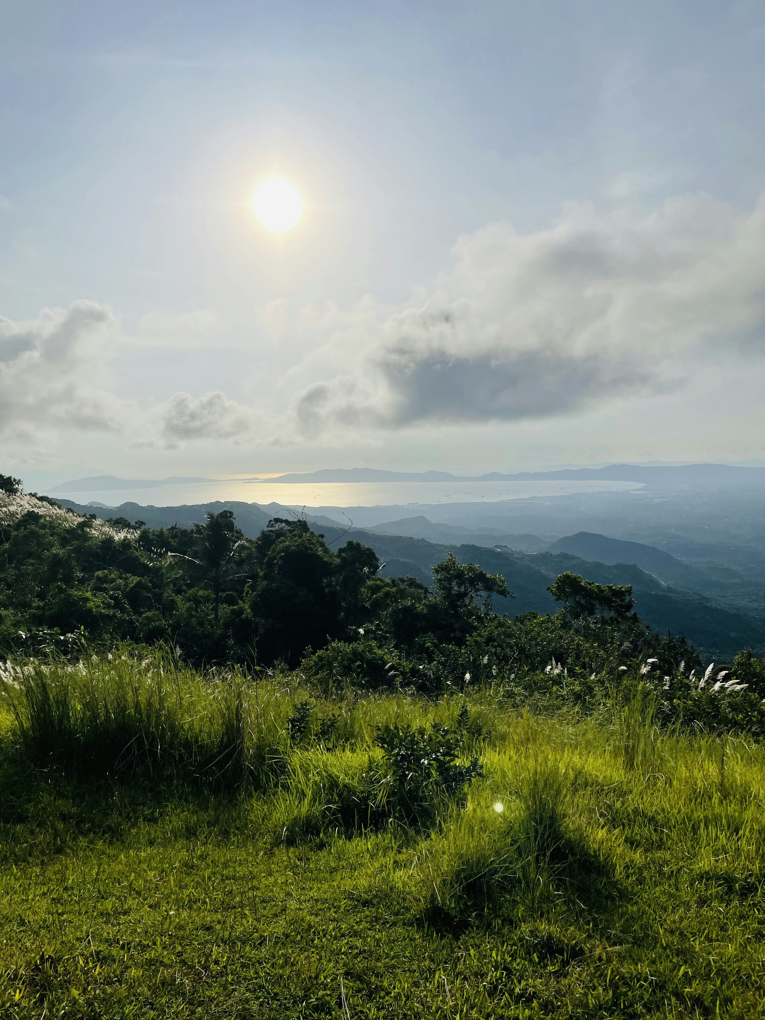 A grassy field with trees and mountains in the background photo – Free ...