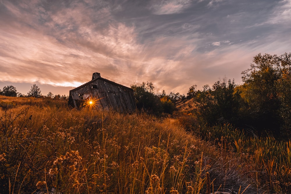 a house in a field