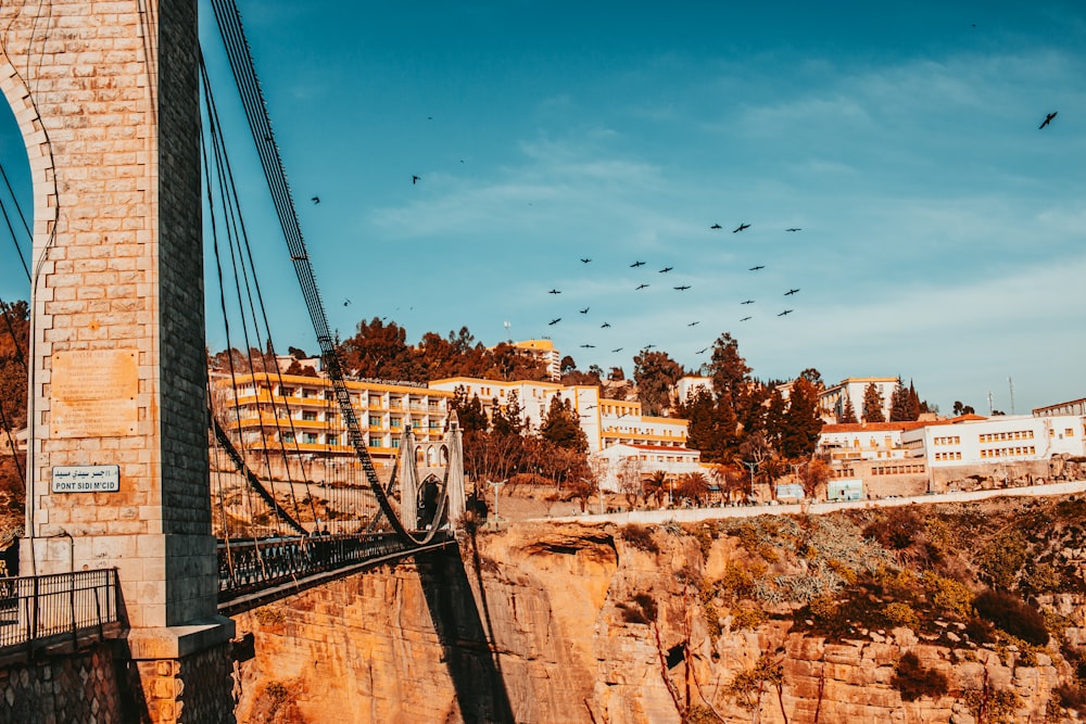 un pont avec des oiseaux qui volent dessus