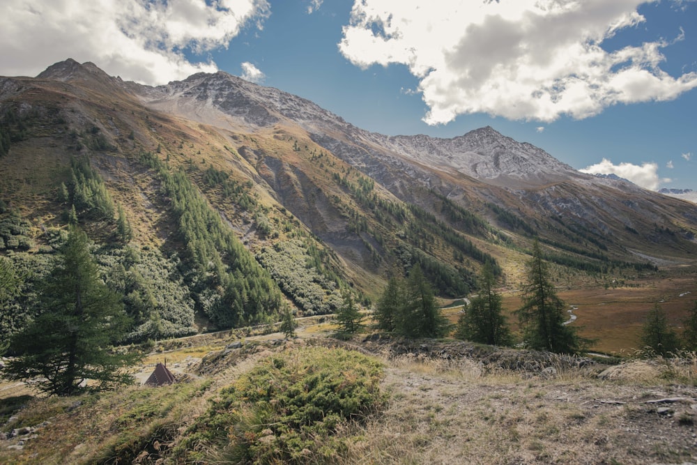 a landscape with trees and mountains