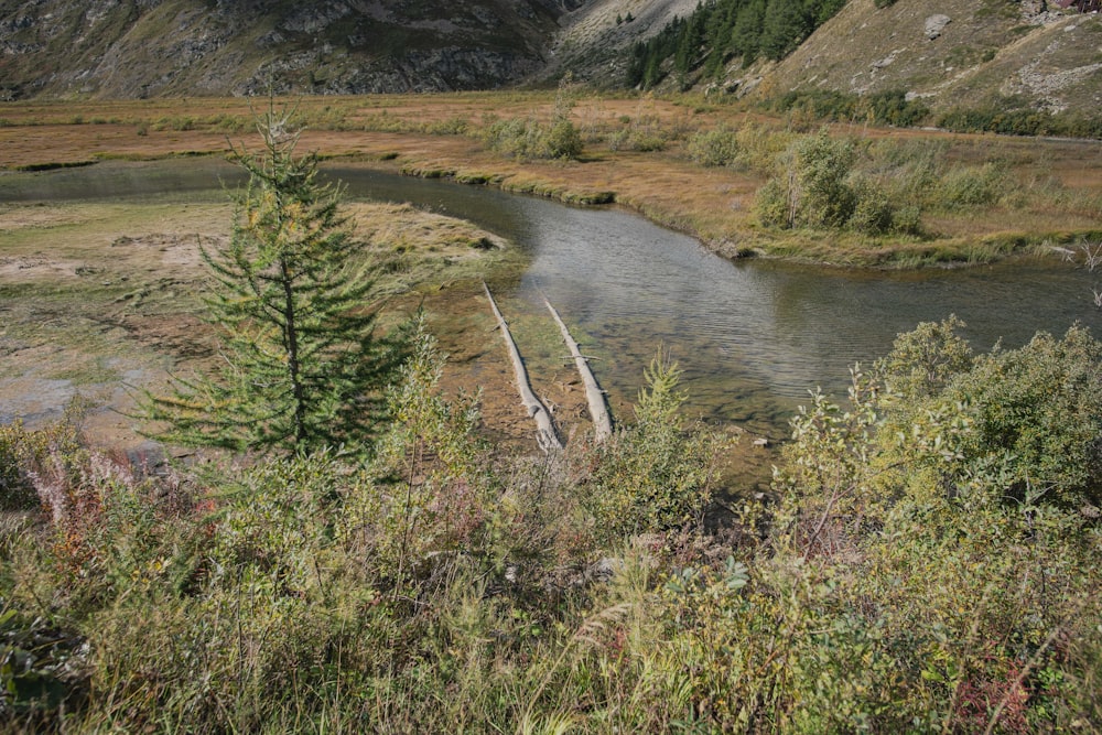 a river running through a valley