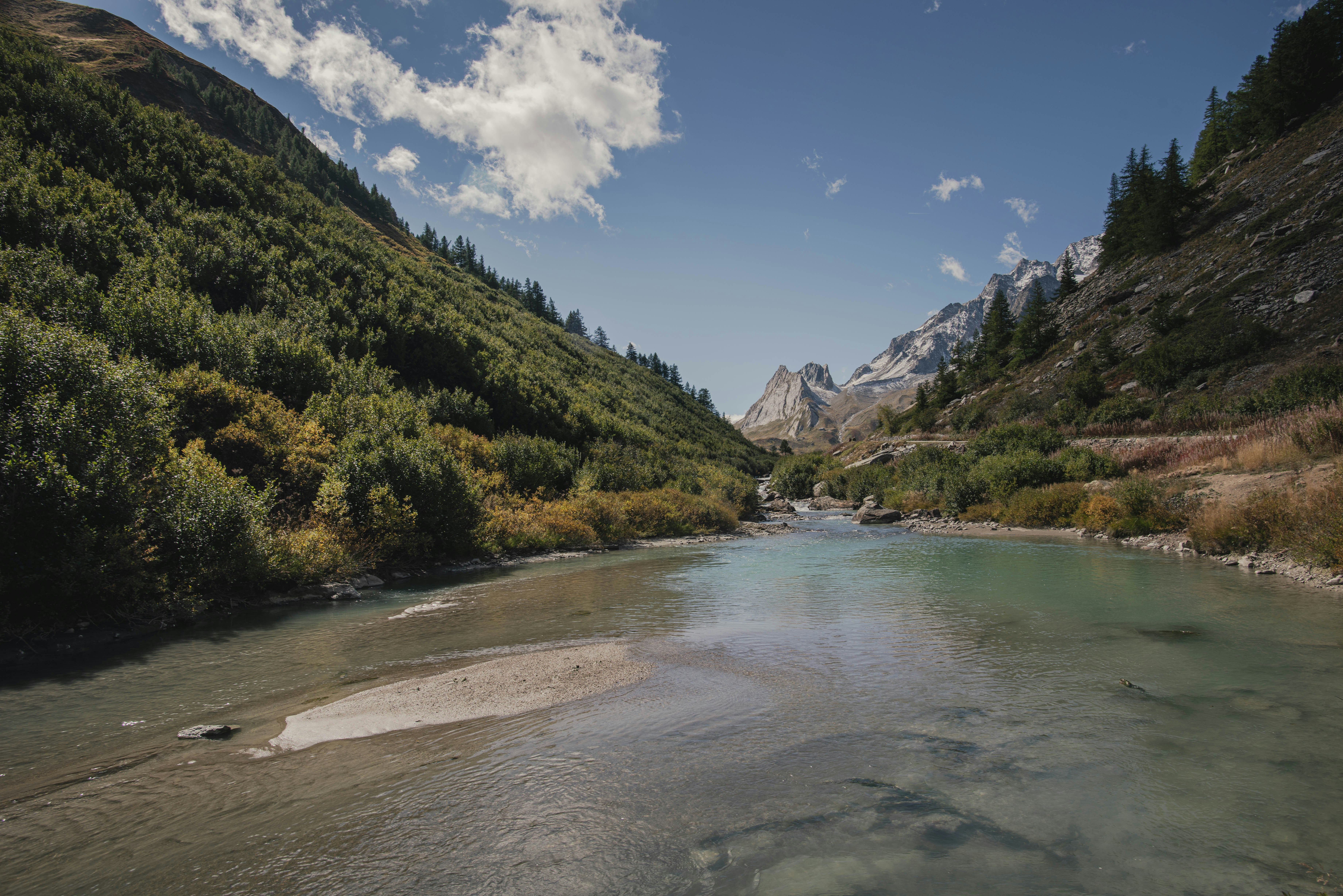 Ein Fluss mit Bäumen und Bergen