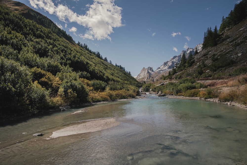 a river with trees and mountains