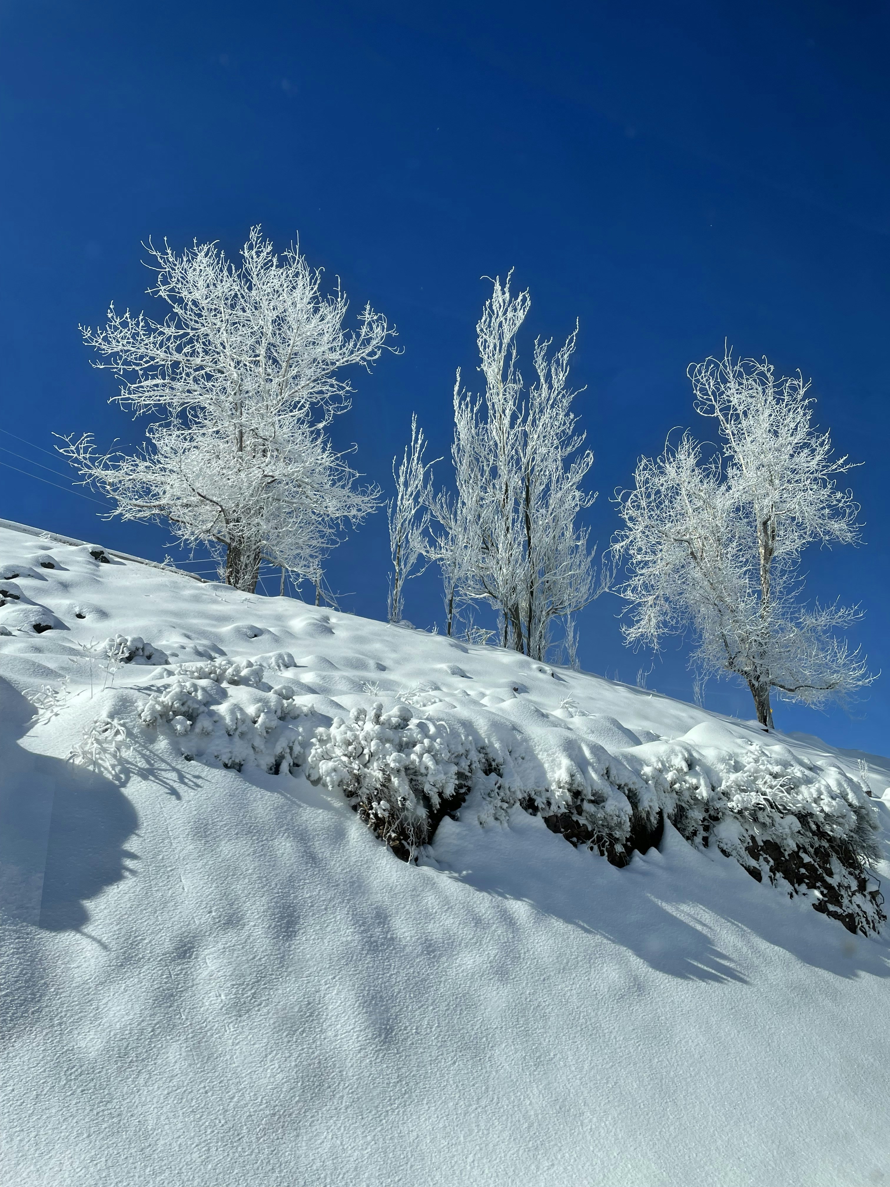 Photo by pretysanflo