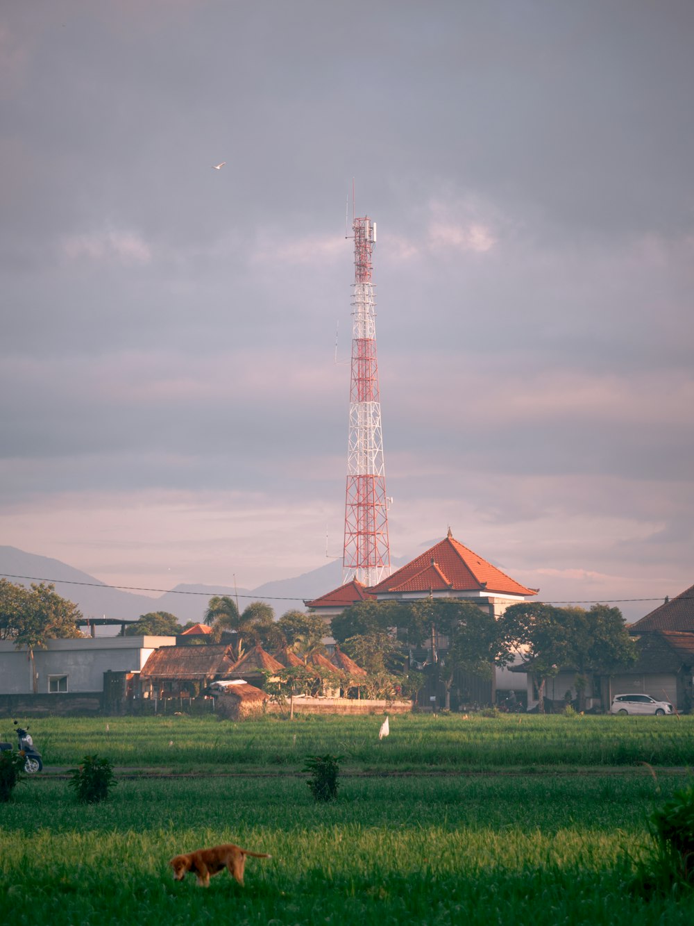 a tower in the distance