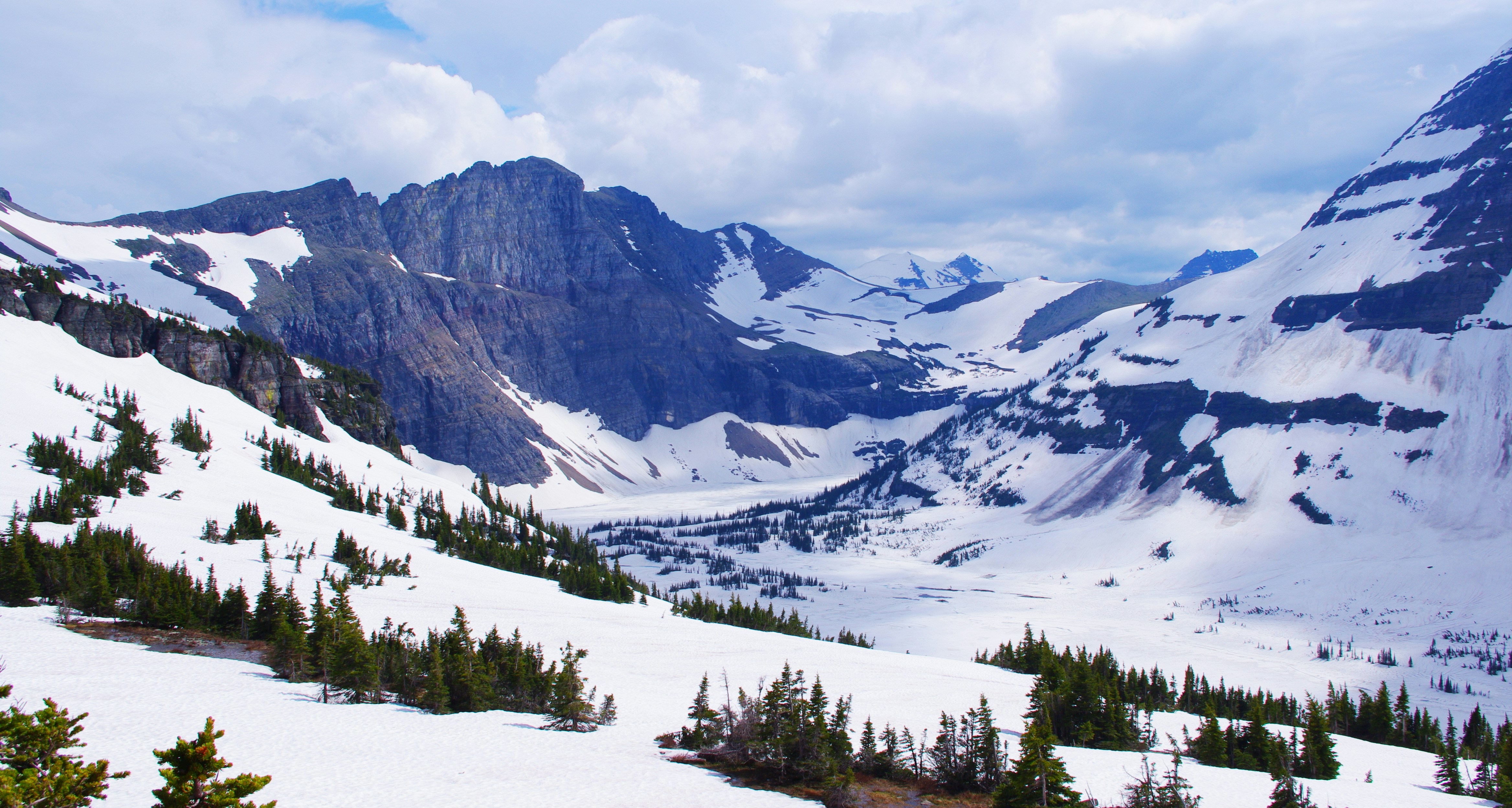 Photo by goldenplover31