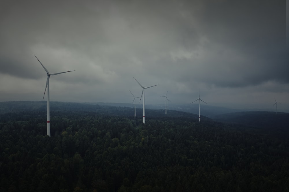 un gruppo di turbine eoliche con Albany Wind Farm sullo sfondo