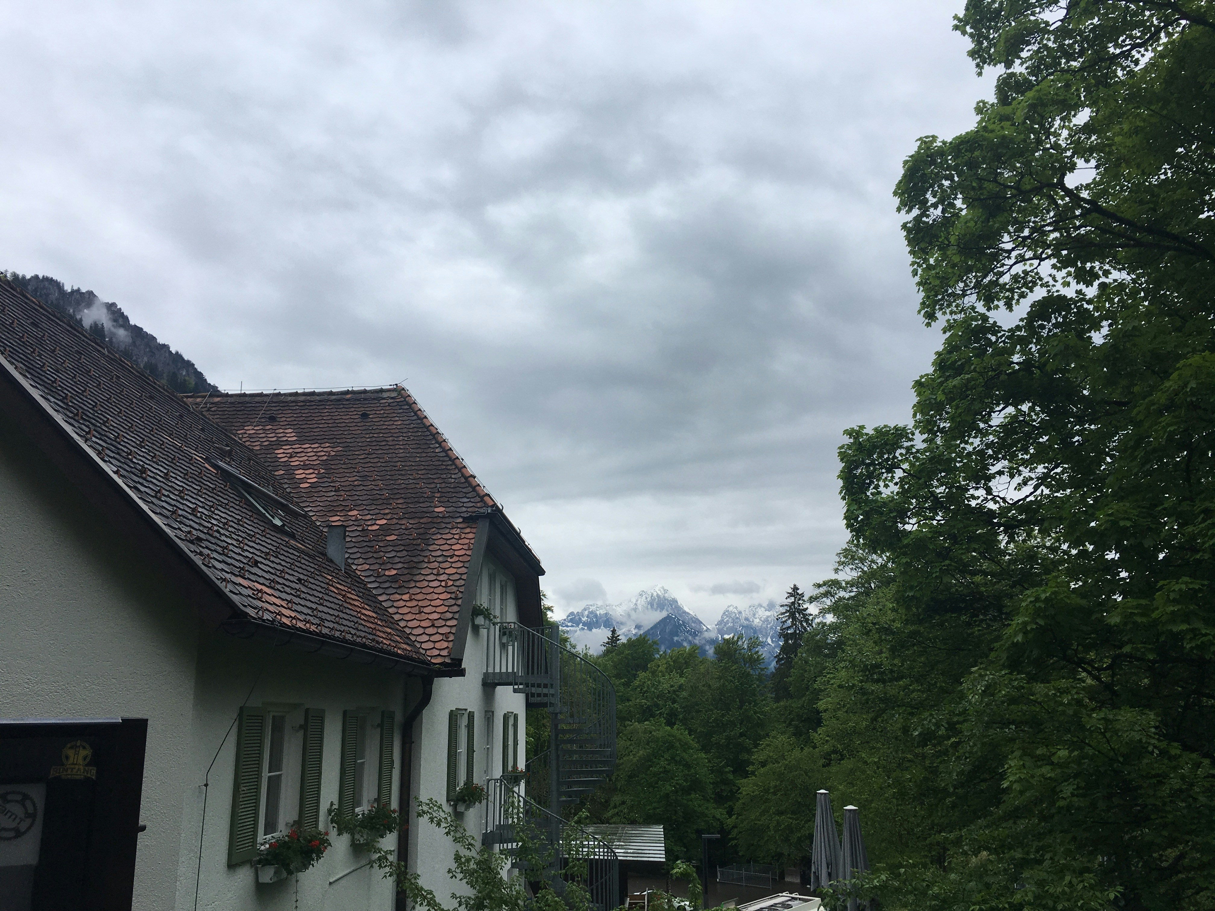 a house with trees in the back