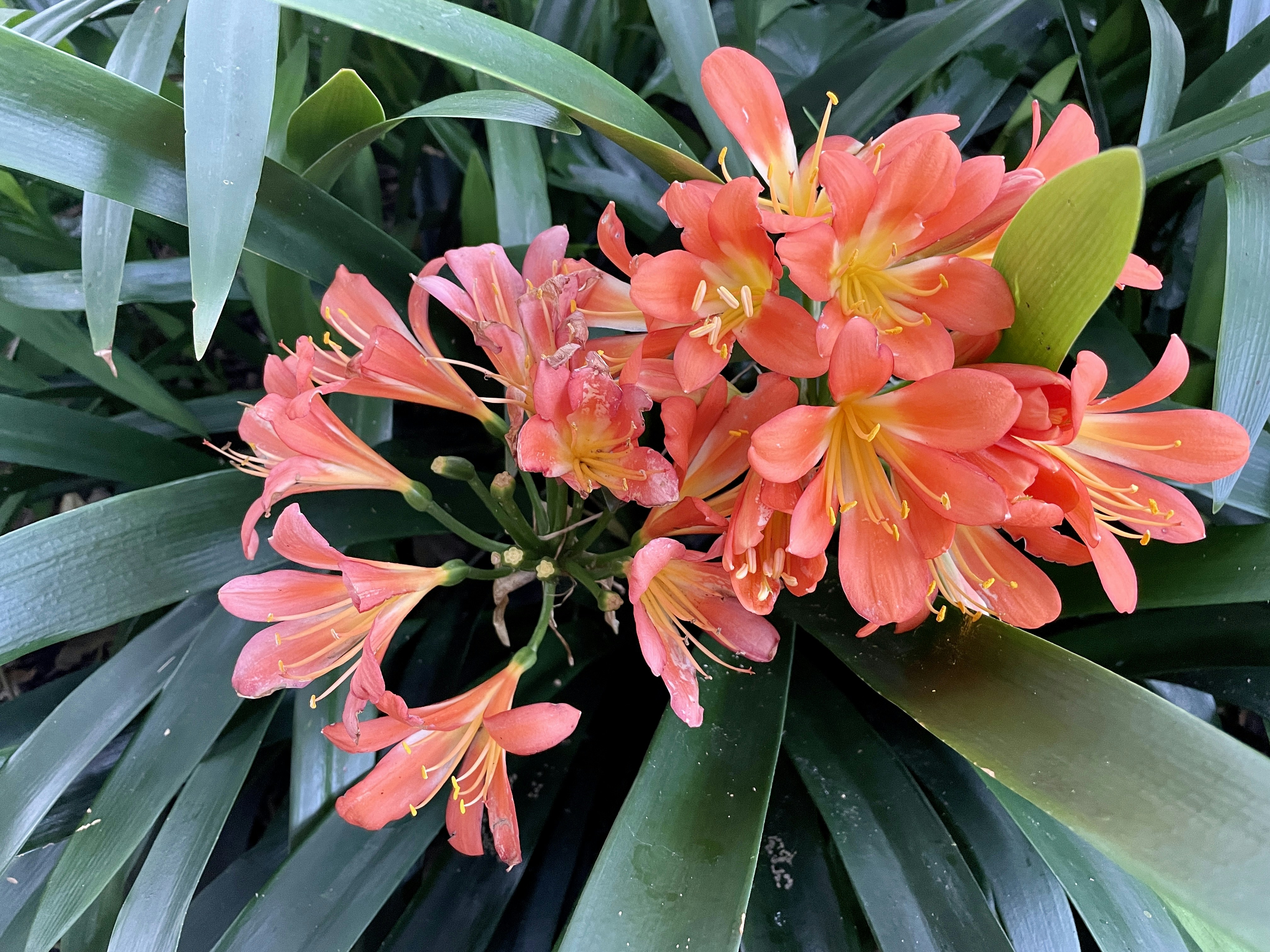 Photo by calvinkurlekar