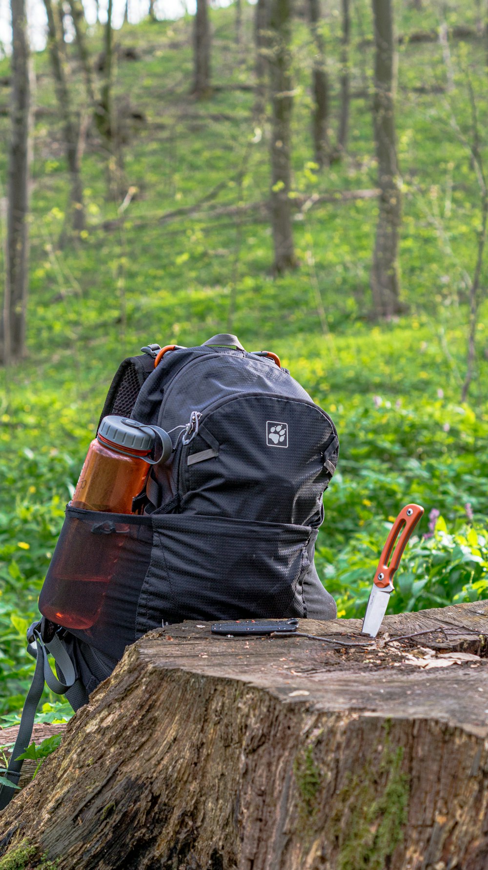 Ein Rucksack auf einem Baumstamm