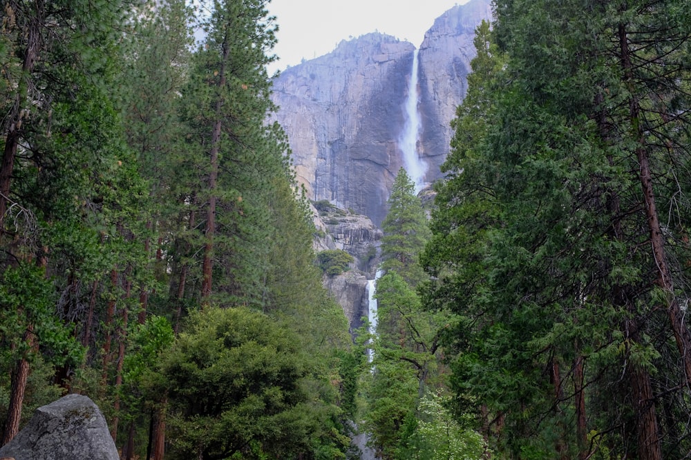 a waterfall in a forest