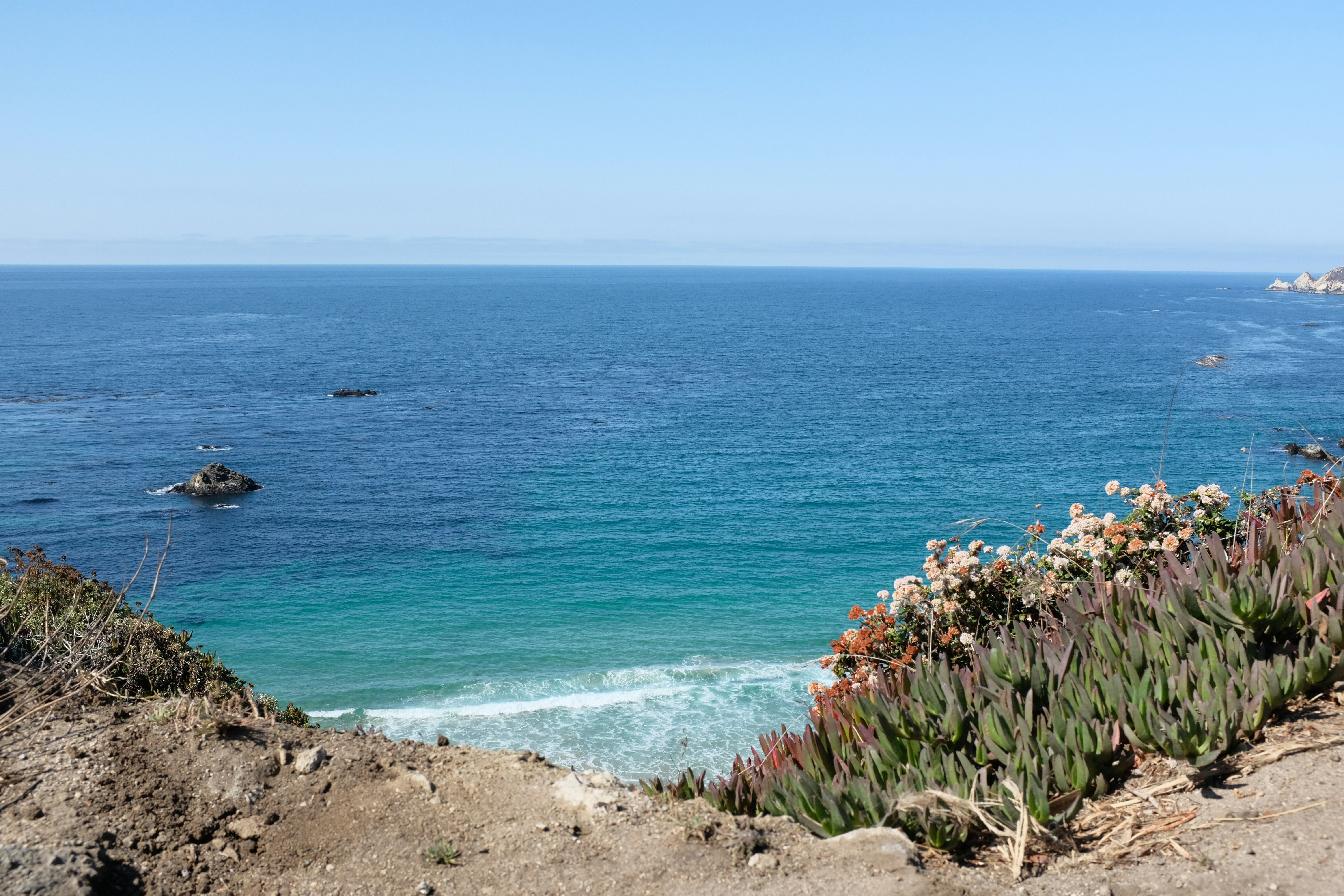 Photo by divyshankar