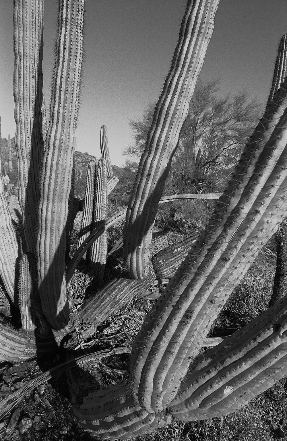 a black and white photo of a city