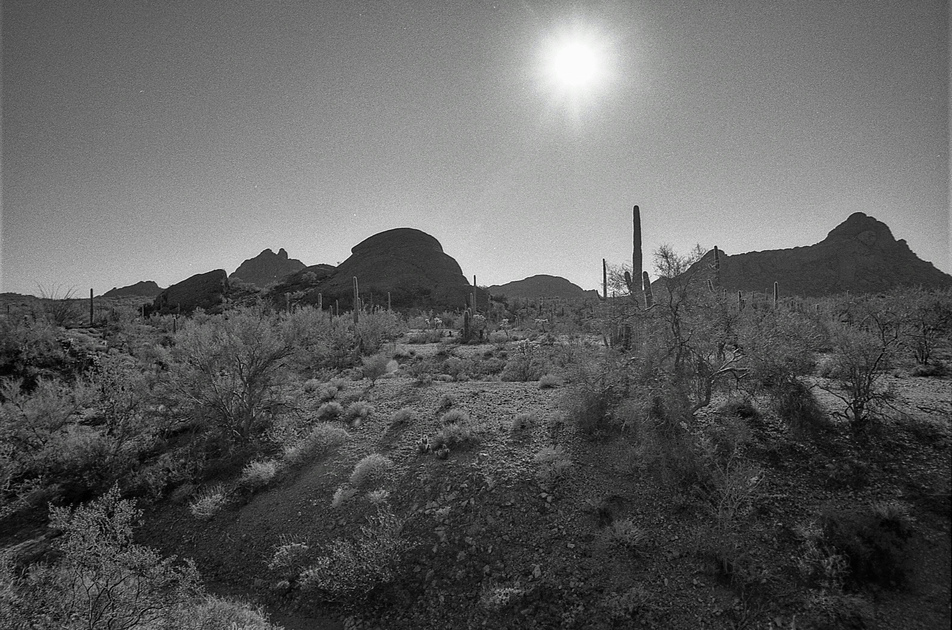 SW of Ajo AZ, Nikon FA, 20mm 3.5, HC-110 Sol. B