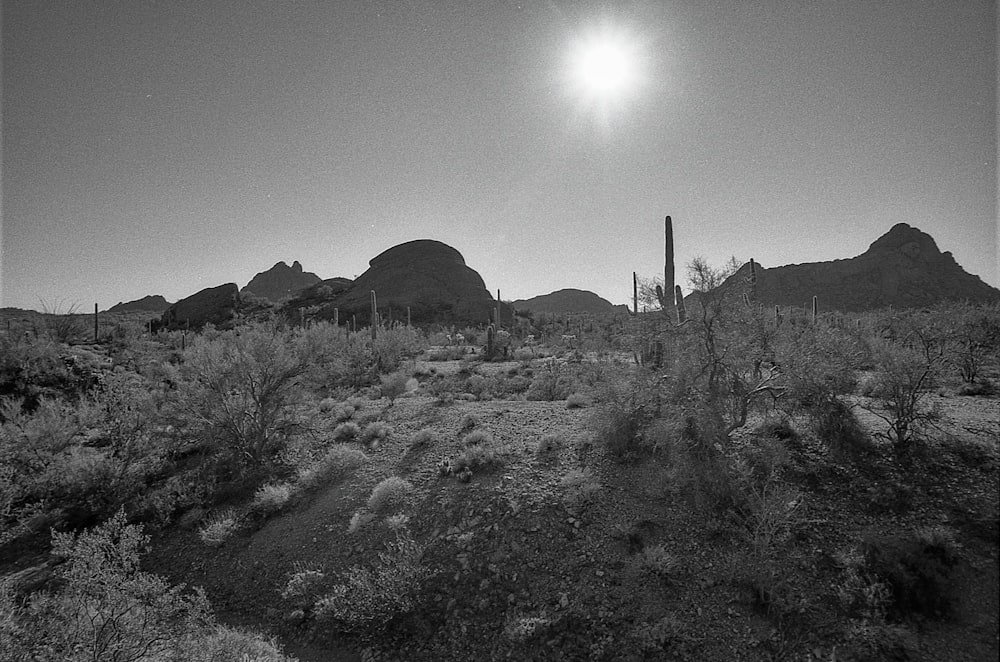 a desert landscape with mountains in the background