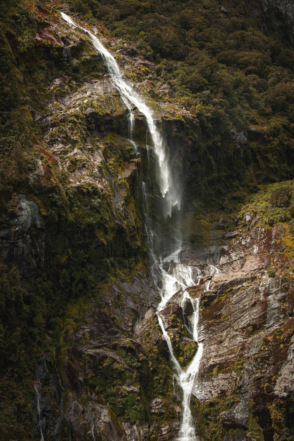 a waterfall in a forest