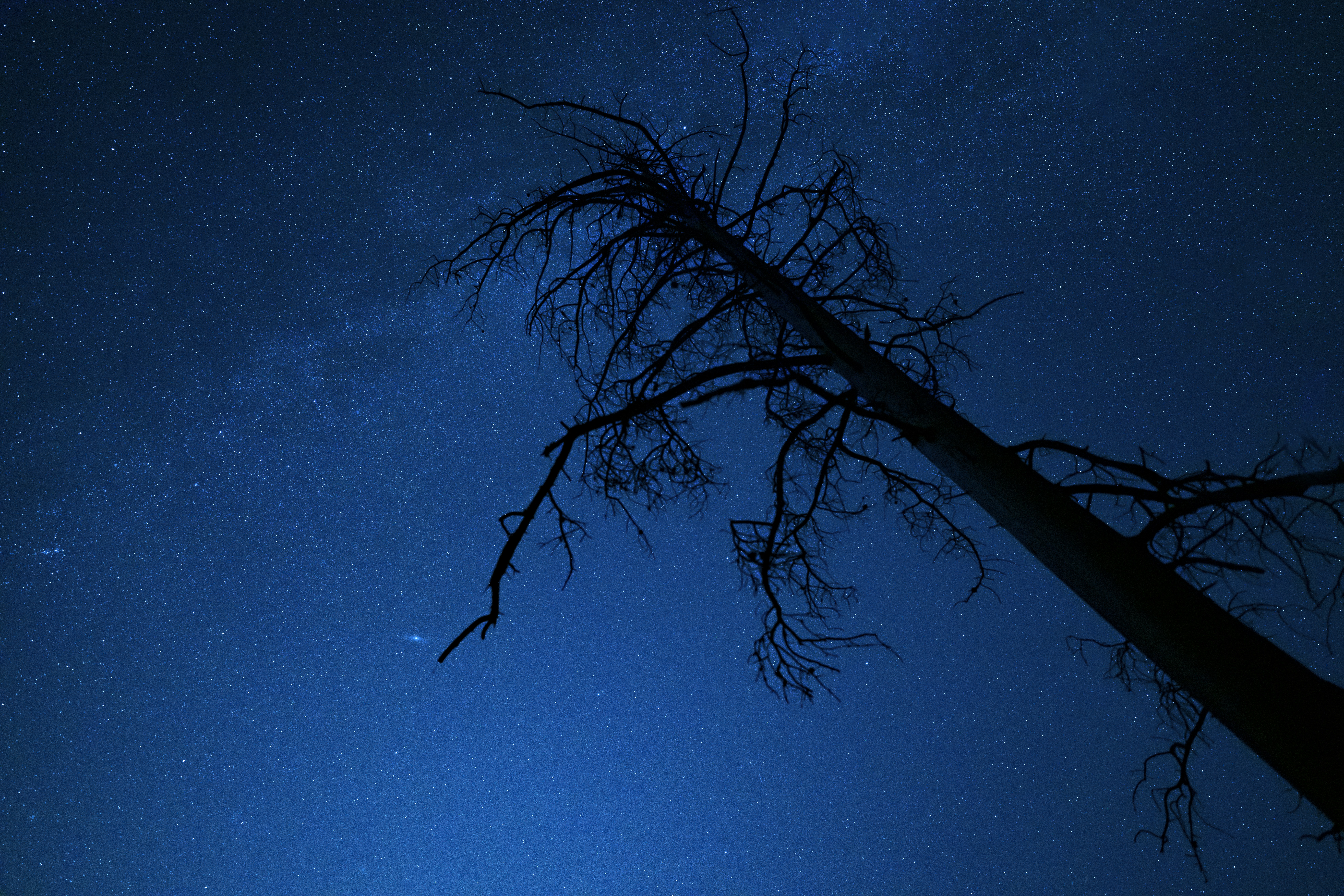 Photo by joshuaworoniecki