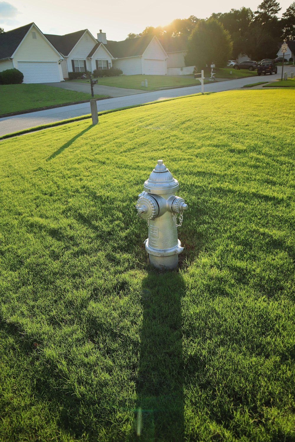 um hidrante em um campo gramado