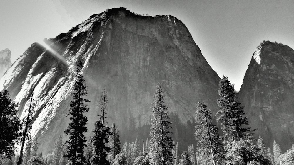 a mountain with trees on it