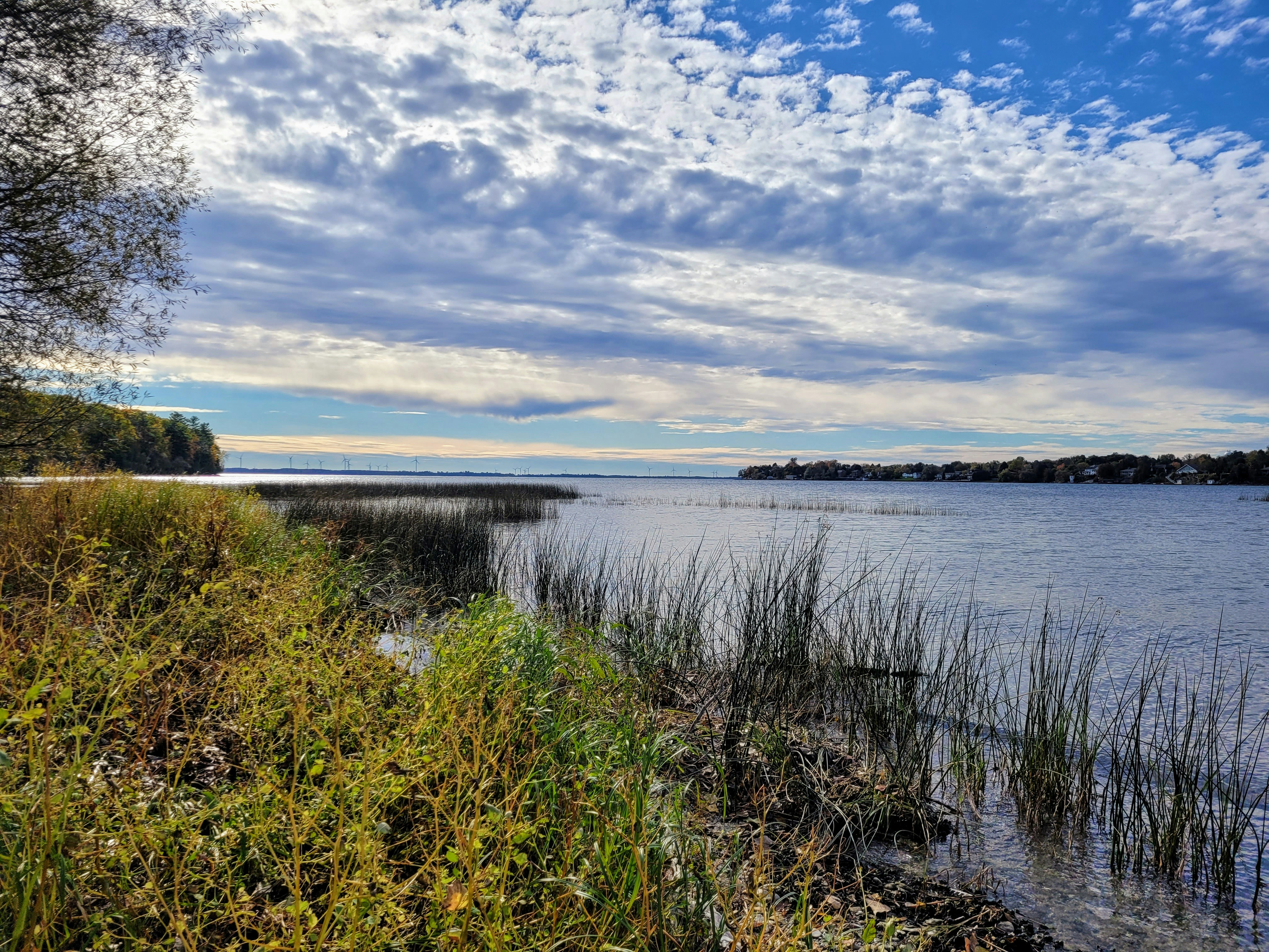 Photo by sequencefairy