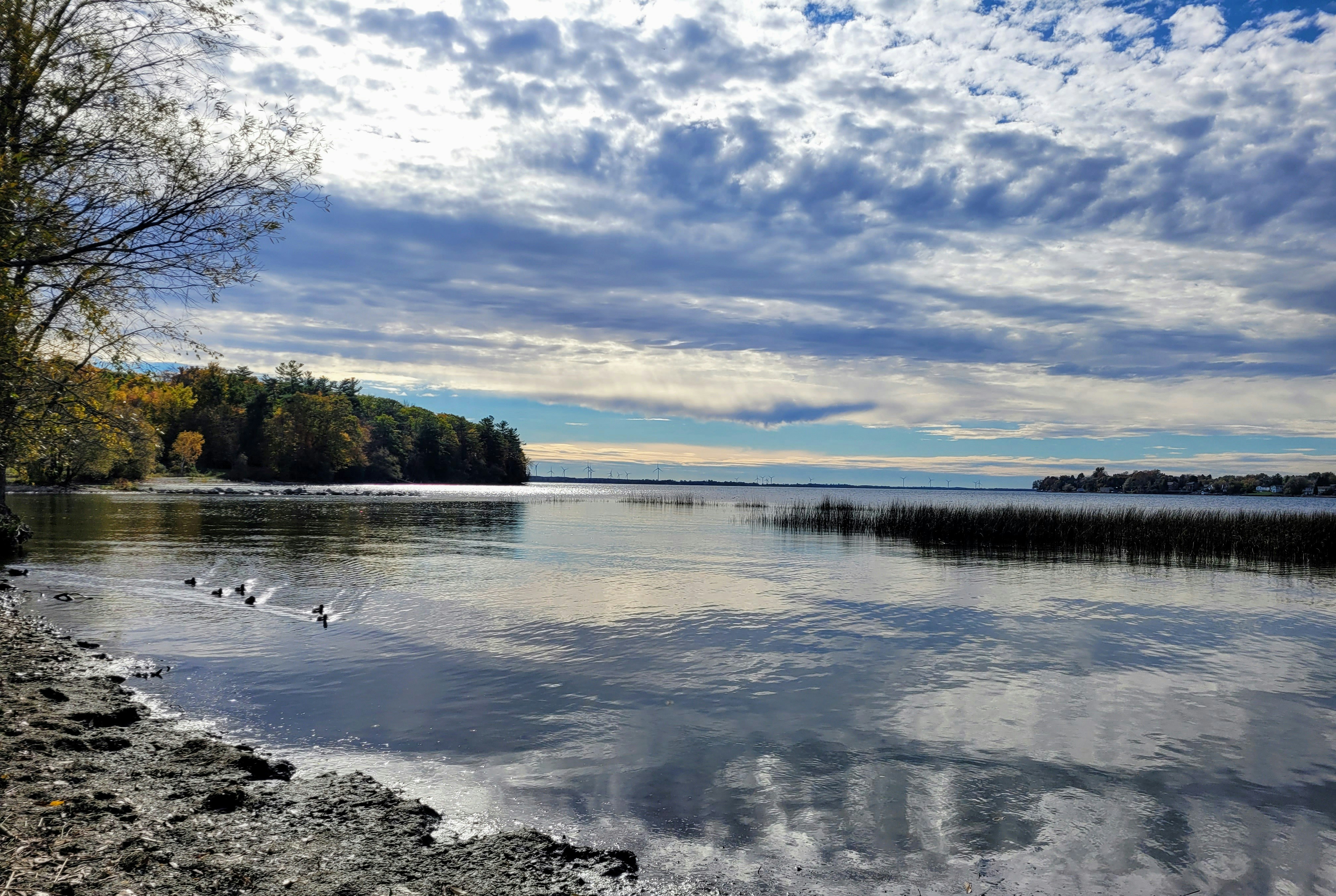 Photo by sequencefairy