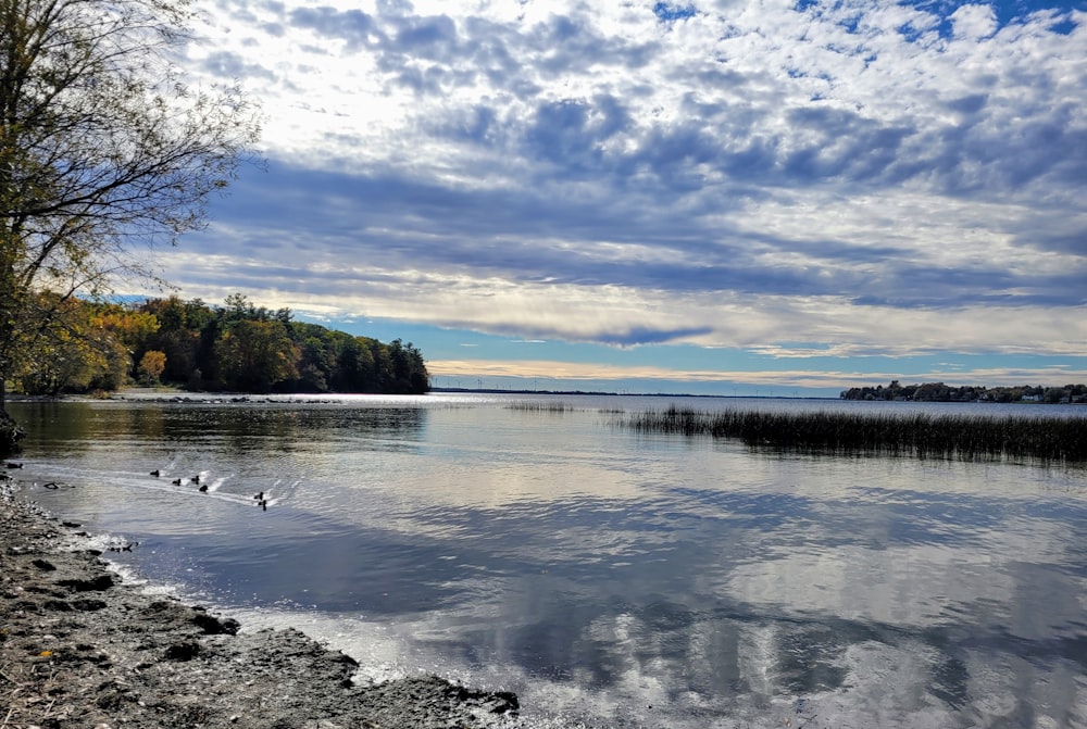 a lake with trees and a cloudy sky