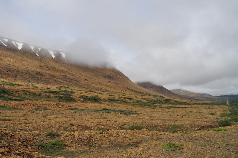 a grassy hill with a foggy sky
