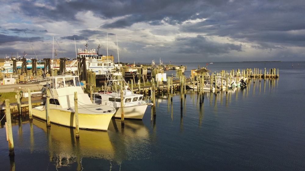 boats docked at a pier