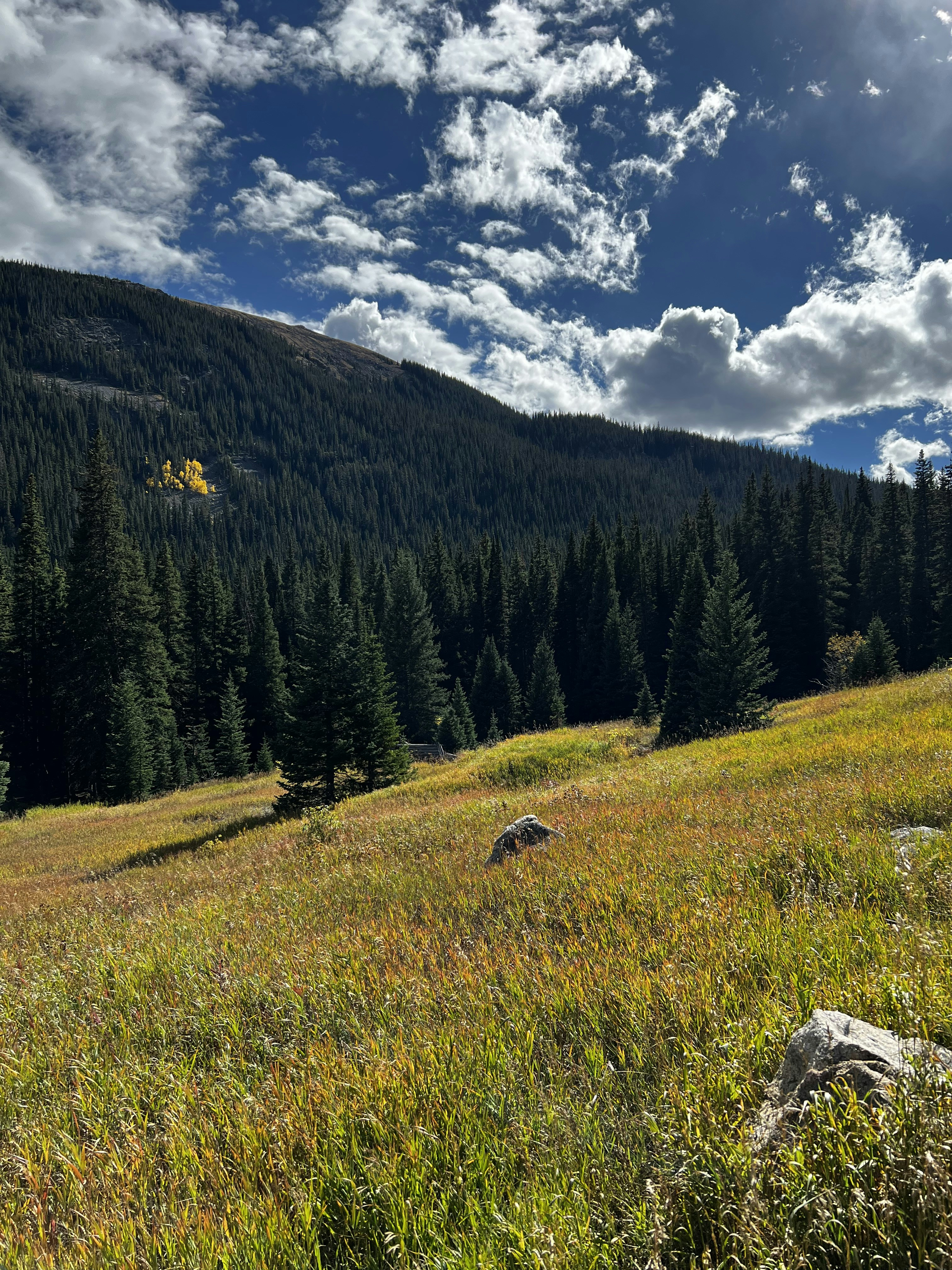 Photo by laitonbarbo